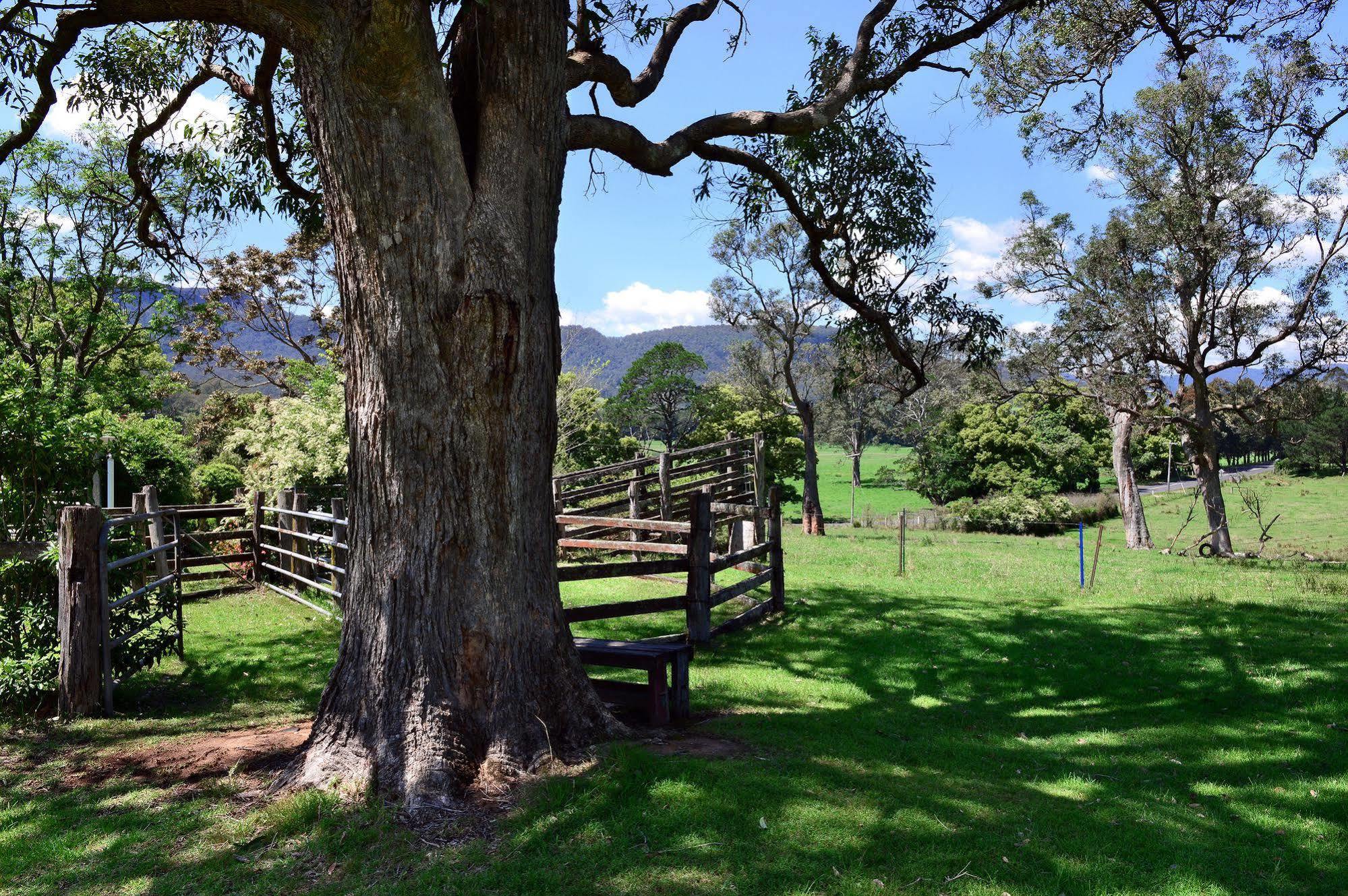 The Laurels B&B Kangaroo Valley Dış mekan fotoğraf