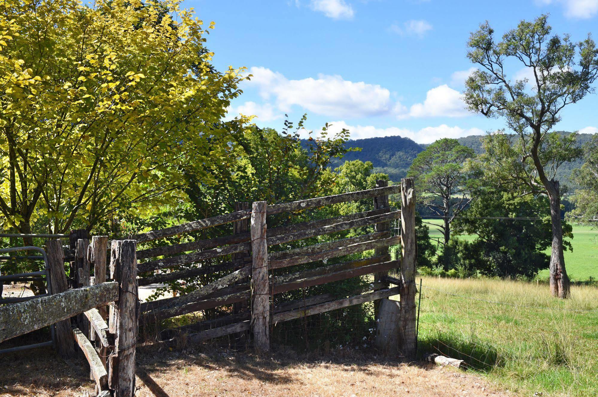 The Laurels B&B Kangaroo Valley Dış mekan fotoğraf